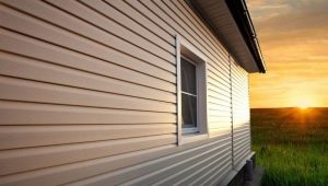  Siding tàu: loại và đặc điểm của lớp phủ