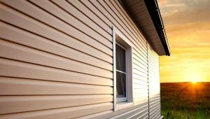  Vinyl siding: characteristics and dimensions of panels