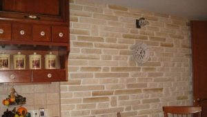  PVC panels under the brick: the pros and cons