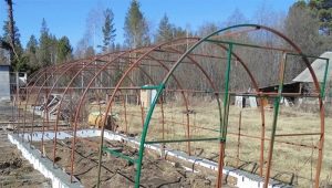  The foundation for the greenhouse: types of bases and instructions for making