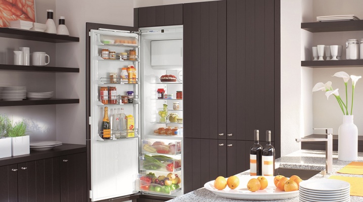 Single chamber refrigerator with freezer