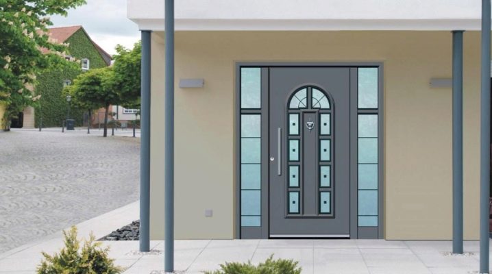  Entrance doors with glass for a country house