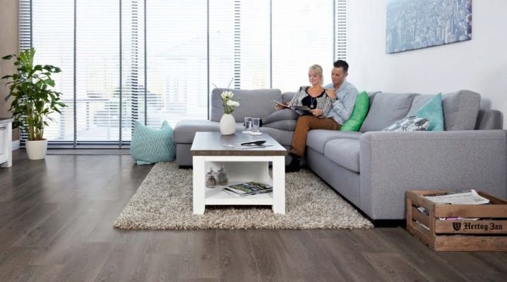 Balineio laminate: kelebihan dan kekurangan