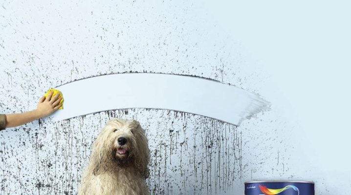  Farby Dulux: Klady a zápory