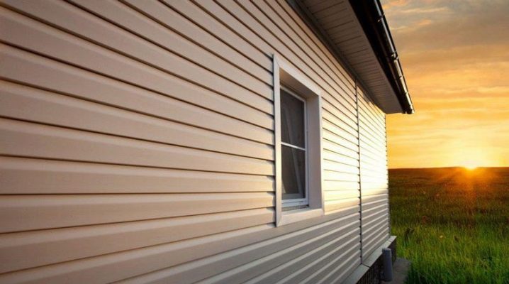  Ship board siding: types and characteristics of coating