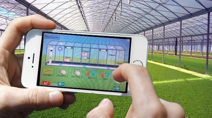  Smart greenhouse: mga tampok sa disenyo at yugto ng automation