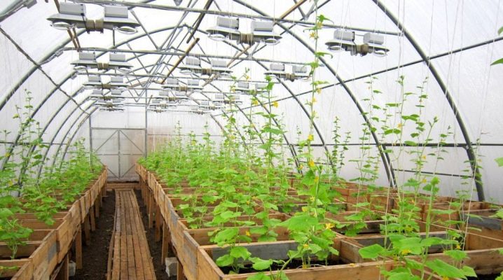  How to ensure year-round operation of the greenhouse: options for insulation