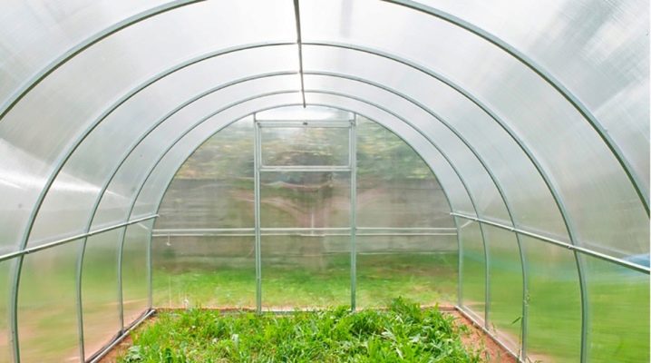  Greenhouses Agrosphere: types and rules of operation