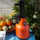  Rating of the best screw juicers