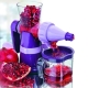  Manual Auger Juicer