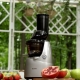  Garden juicer