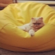  Ikea bean bag