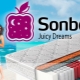  Sonberry mattresses