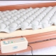  Anti-decubitus honeycomb mattress