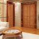  How to choose the door to the hall: features and recommendations