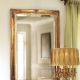  How to choose a mount for a mirror on the wall?