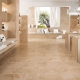  Travertine tiles: features and applications