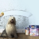  Farby Dulux: Klady a zápory