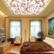  False ceiling: pros and cons