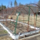  The foundation for the greenhouse: types of bases and instructions for making