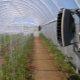  Heaters for greenhouses: types and features of the application